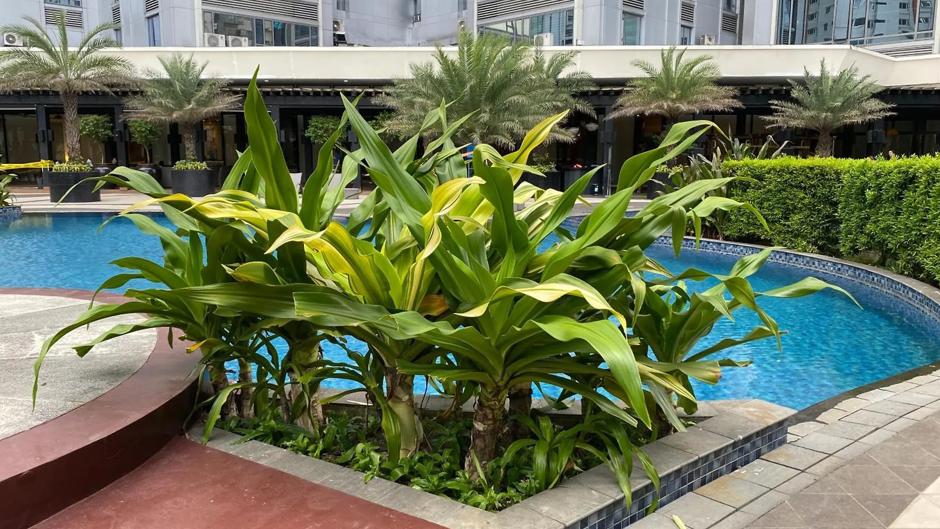 Appartamento Woodland Elegance Retreat Symphony Of Artistry With Blazing Fast 300 Mbps Manila